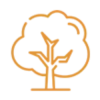 cropped-icon-tree.webp